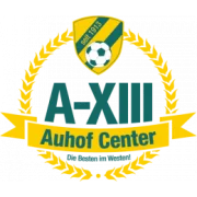 Аустрия Вена U19 logo