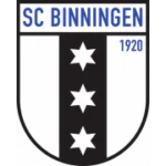 Биннинген logo