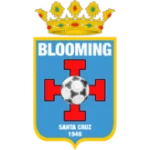 Блуминг logo