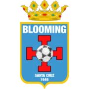 Блуминг logo