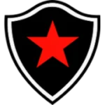 Ботафого Параиба logo