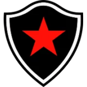Ботафого Параиба logo