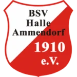 BSV Halle-Ammendorf logo