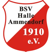 BSV Halle-Ammendorf logo