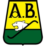 Букараманга logo