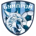 Бумпром logo