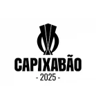 Campeonato Capixaba logo
