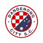 Данденонг Сити logo