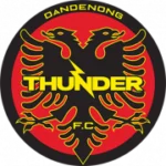 Данденонг Тандер logo