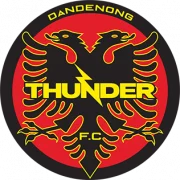 Данденонг Тандер logo