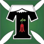 Депортес Темуко logo