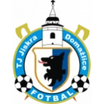 Домазлице logo