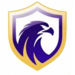 Фалкон ФК logo