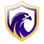 Фалкон ФК logo
