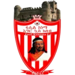 Фасил Кенема logo