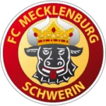 FC Mecklenburg Schwerin logo