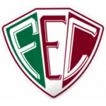 Флуминенсе ПИ logo