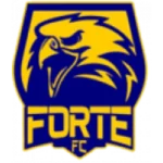 Форте logo
