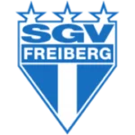 Фрайберг logo