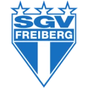 Фрайберг logo