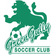 Грин Гулли logo