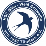 HSC/BW Tündern logo