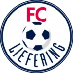 Лиферинг logo