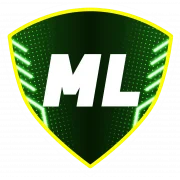 МЛ Витебск logo
