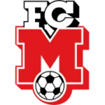 Мюнзинген logo