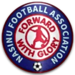Насину logo