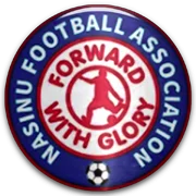 Насину logo