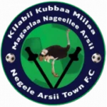 Негеле Арси Кетема logo