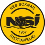 НСИ II logo
