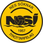 НСИ logo