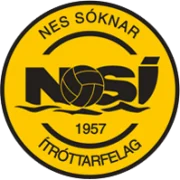 НСИ logo