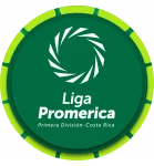 Примера Дивизион Апертура logo