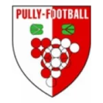 Пулли logo