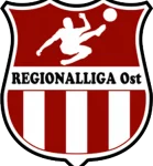 Региональная лига Восток logo