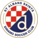 Сэйнт Албанс Сэйнтс logo