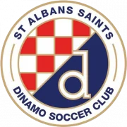 Сэйнт Албанс Сэйнтс logo