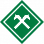 SFN Vechta logo