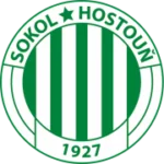 Сокол Гостоунь logo