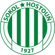 Сокол Гостоунь logo