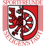 Sportfreunde Seligenstadt logo