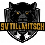 Тильмич logo