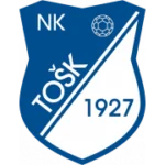 ТОШК Тешань logo