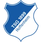 TSG 1899 Hoffenheim U17 logo