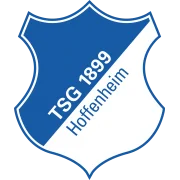 TSG 1899 Hoffenheim U17 logo