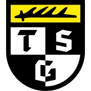 TSG Balingen logo