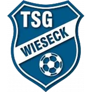 TSG Wieseck U17 logo